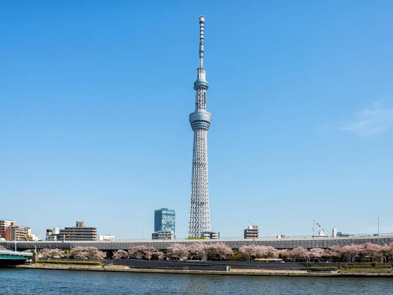 Anshin Oyado Akihabara Denkigaiten Tóquio Exterior foto
